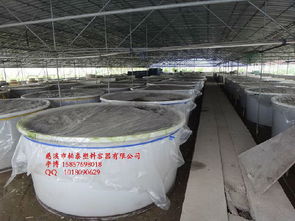 高粱發(fā)酵pe塑料圓桶 水果冷藏pe塑料圓桶 500升餐具清洗pe塑料圓桶價(jià)格 廠家 圖片