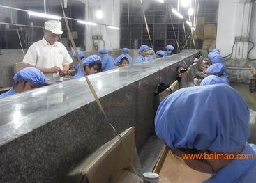 玩具加工 玩具配件 塑膠配件 塑膠產(chǎn)品加工,玩具加工 玩具配件 塑膠配件 塑膠產(chǎn)品加工生產(chǎn)廠家,玩具加工 玩具配件 塑膠配件 塑膠產(chǎn)品加工價(jià)格