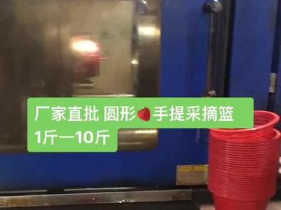 雞蛋籃